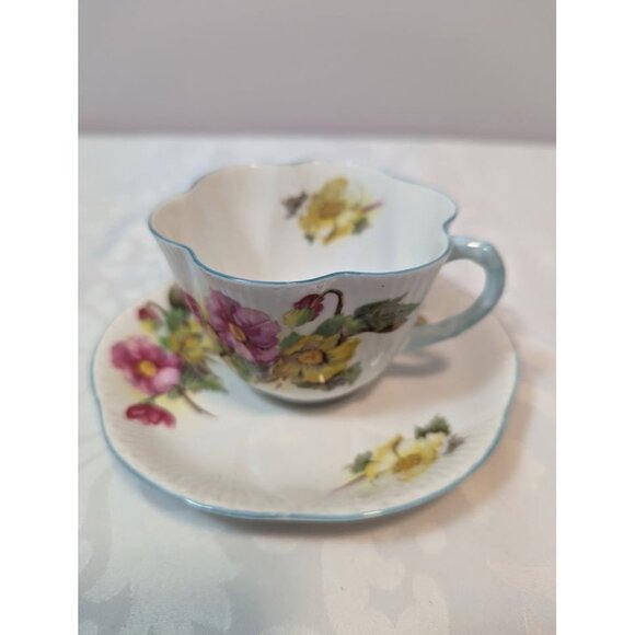Shelley "BEGONIA" Teacup & Saucer - Picture 1 of 9
